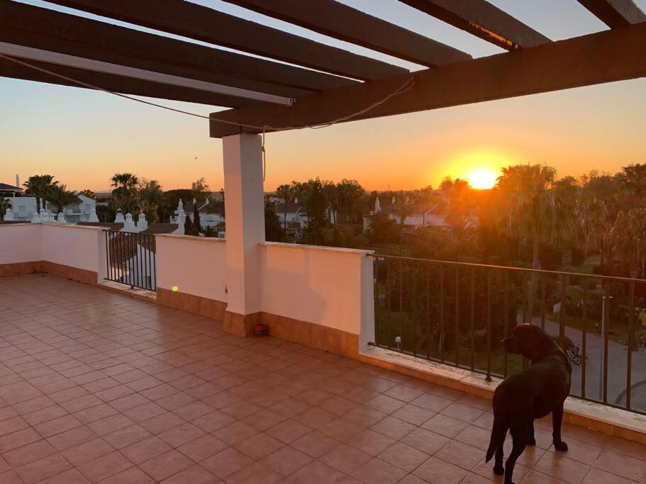 Atico Costa Ballena - Cadiz Рота Екстериор снимка